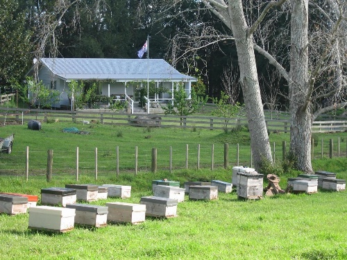 Miranda Orchard Cottage image 1