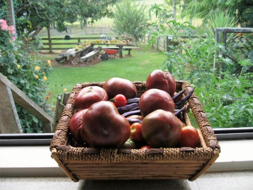 Miranda Orchard Cottage image 12