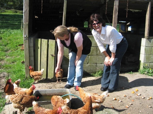 Miranda Orchard Cottage image 16