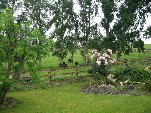 Miranda Orchard Cottage image 32