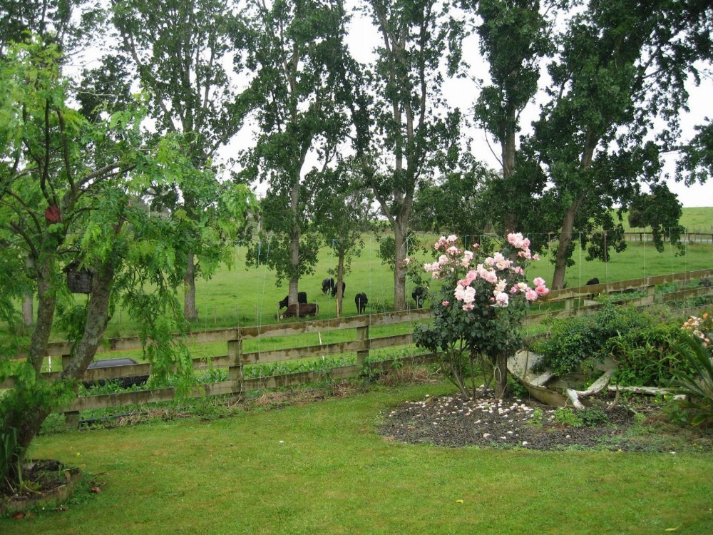 Miranda Orchard Cottage