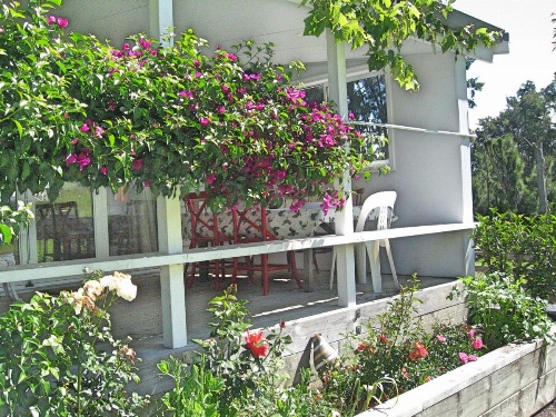 Miranda Orchard Cottage image 8